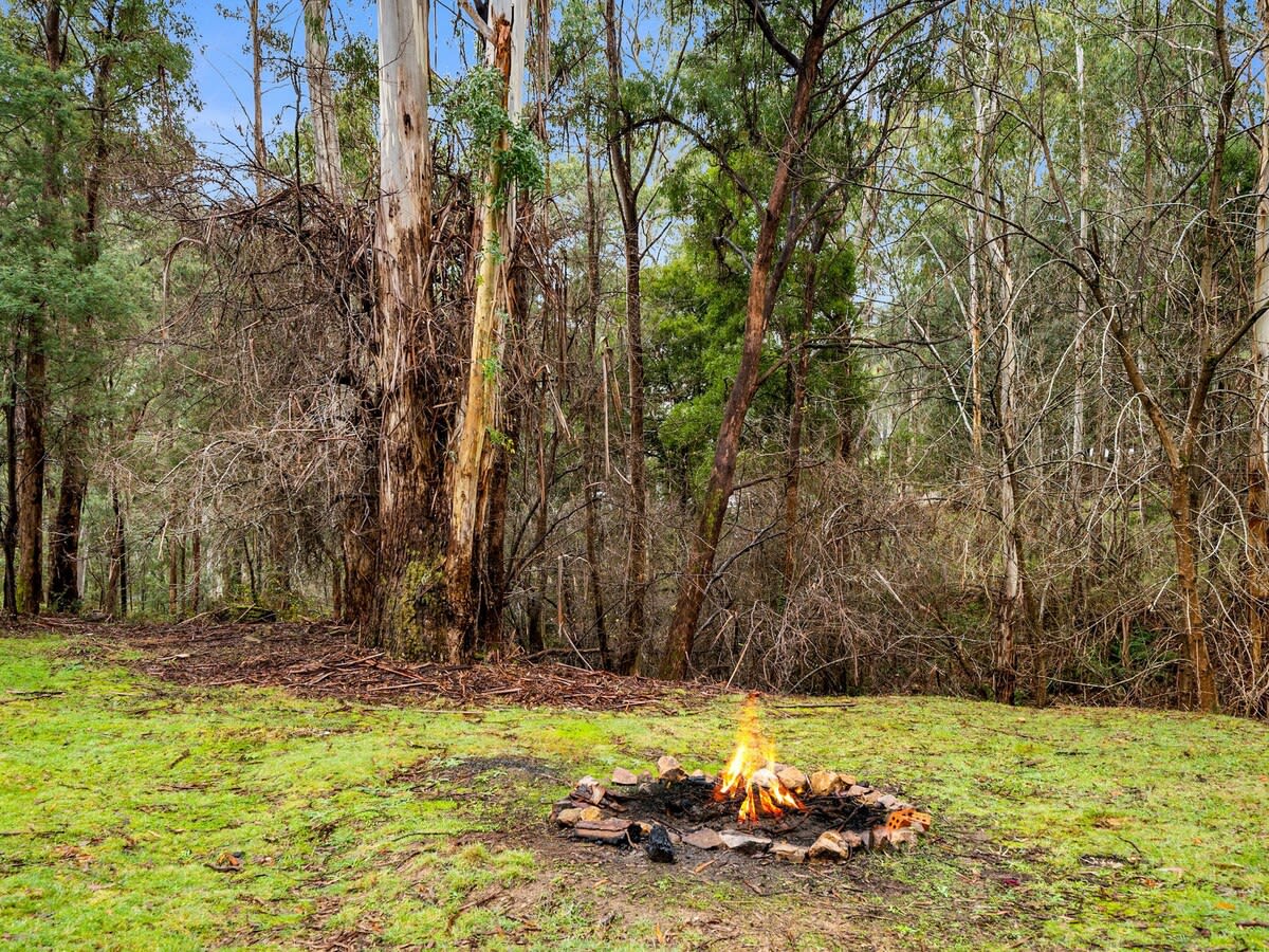Outdoor Firepit
